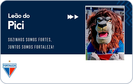 LEÃO DO PICI
